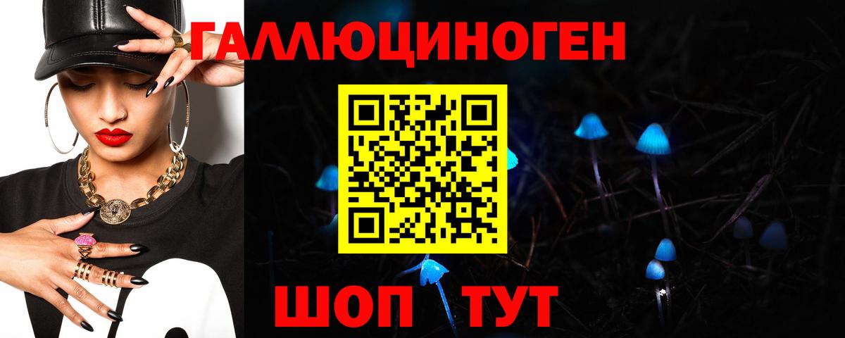 Галлюциногенные грибы Psilocybe  Вход с VPN  Коряжма 