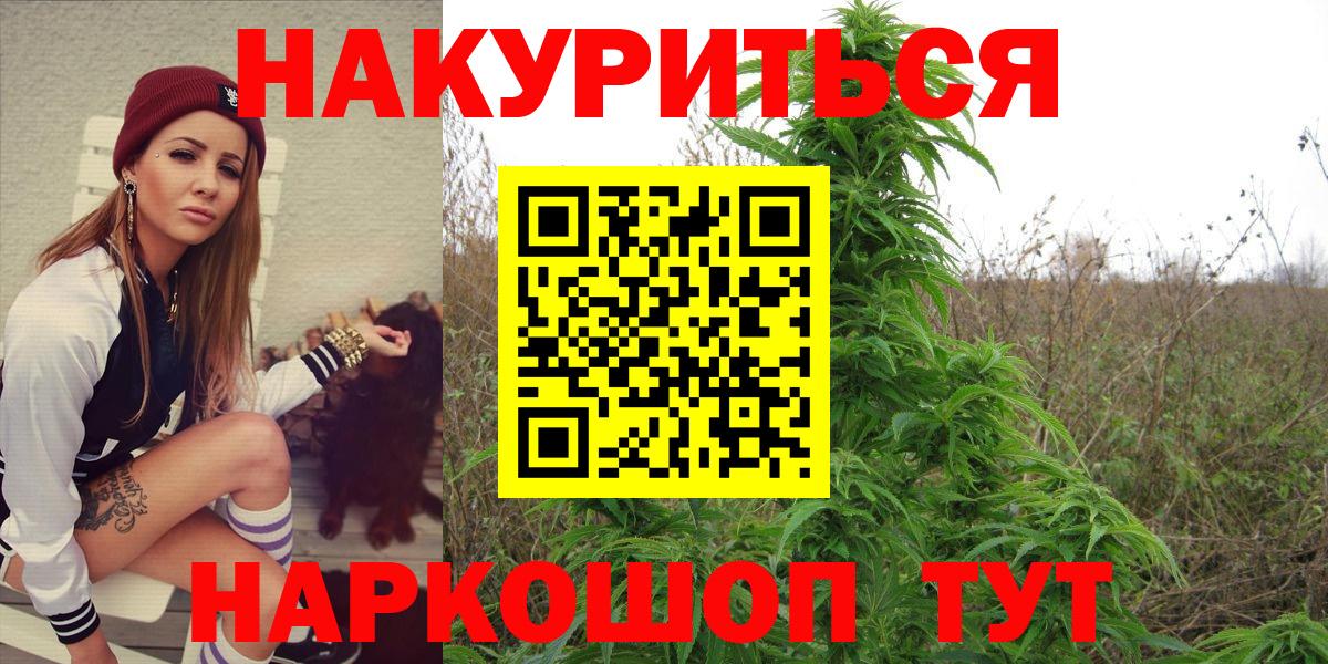 Конопля тримм  Вход с VPN  Коряжма  Конопля планчик  Шишки марихуана сатива 
